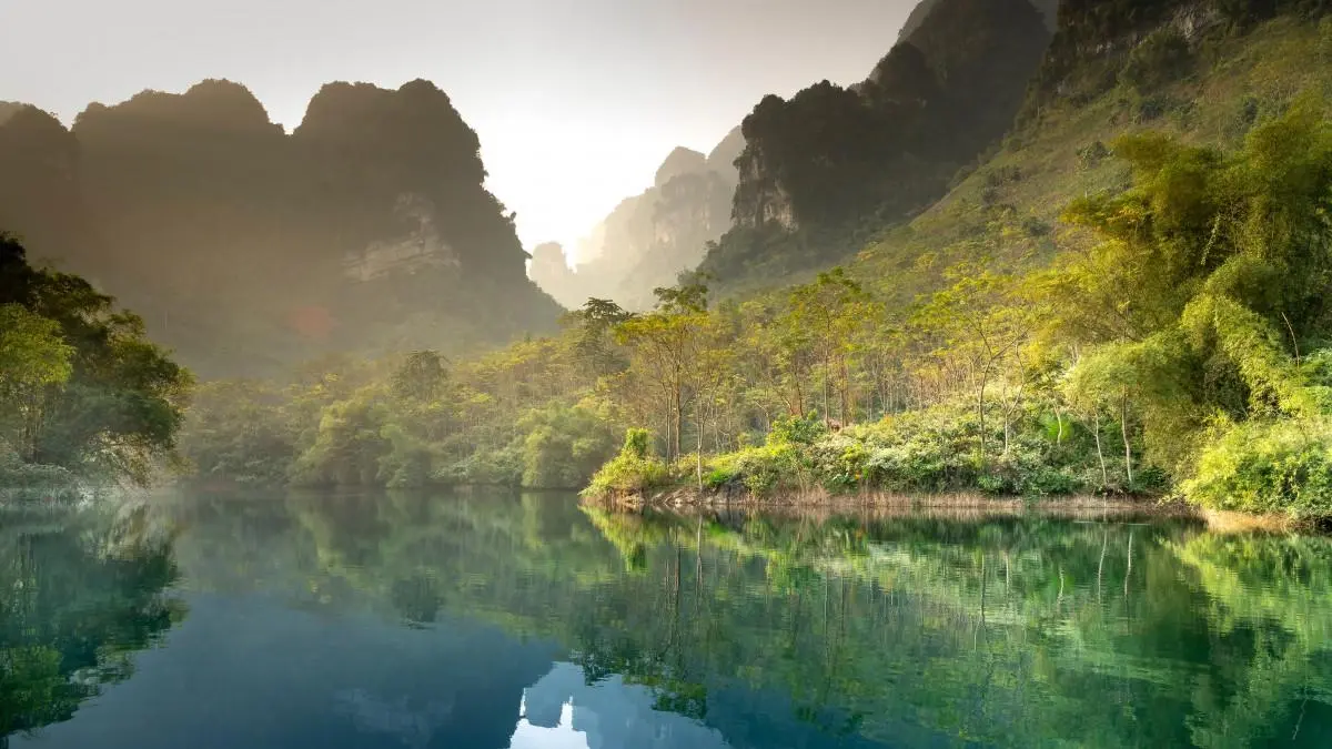 智能化高效